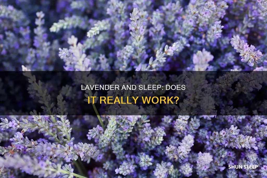does lavender work for sleep