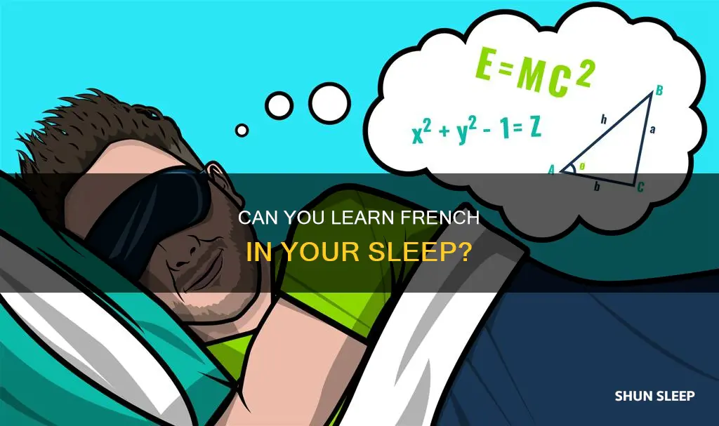 does learn french in your sleep work
