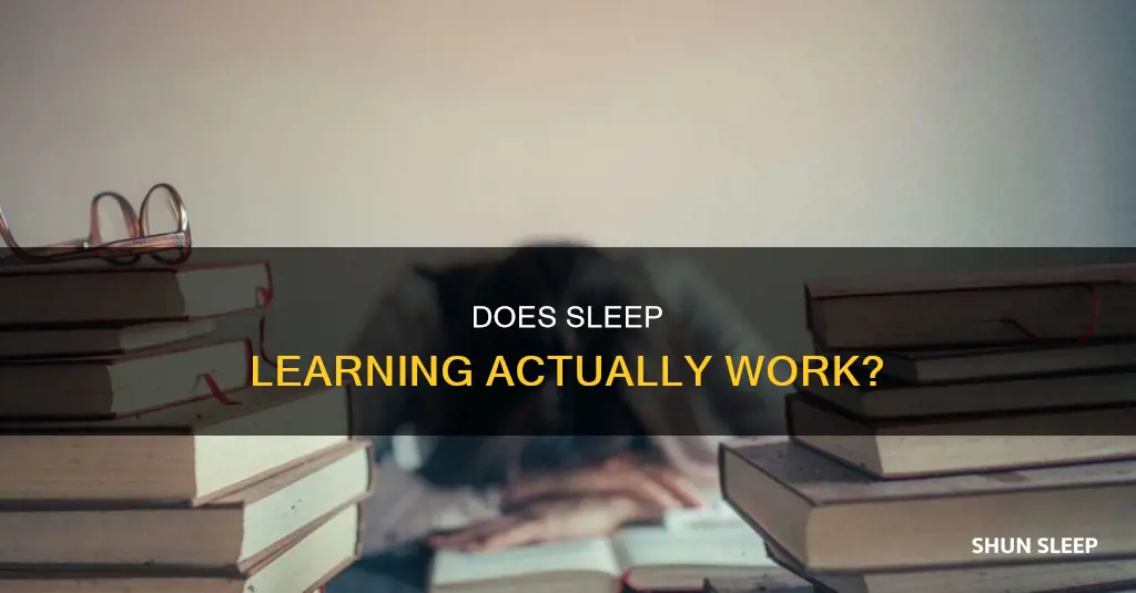 does learning by listening to something while you sleep work