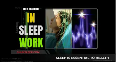 Sleep Learning: Does It Work?