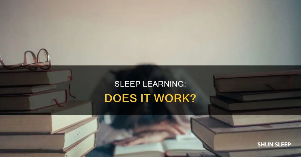 does learning in sleep work