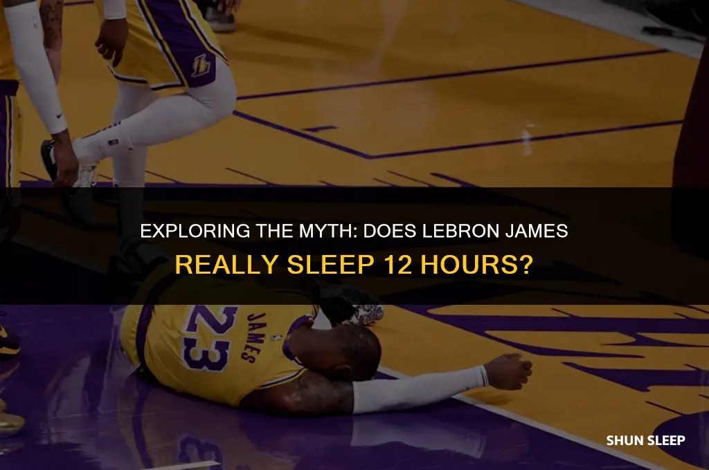 does lebron james really sleep 12 hours