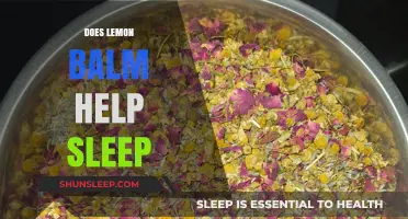 Lemon Balm for Sleep: Natural Remedy or Myth?