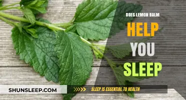 Lemon Balm for Sleep: Natural Remedy or Myth?