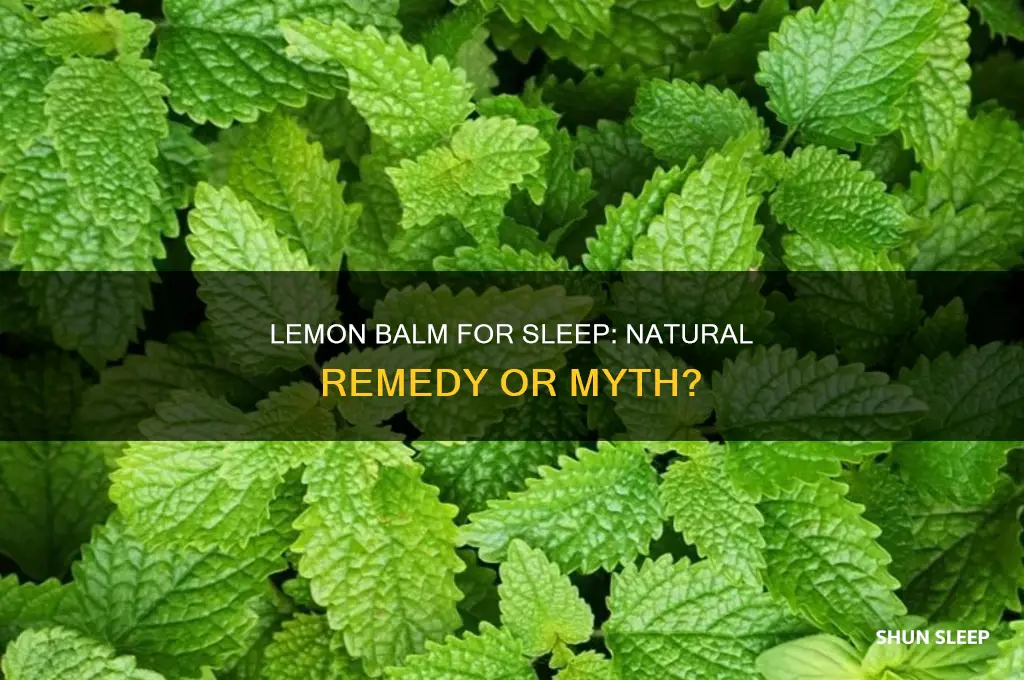 does lemon balm help you sleep