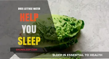 Can Lettuce Water Improve Sleep Quality? Exploring the Natural Remedy