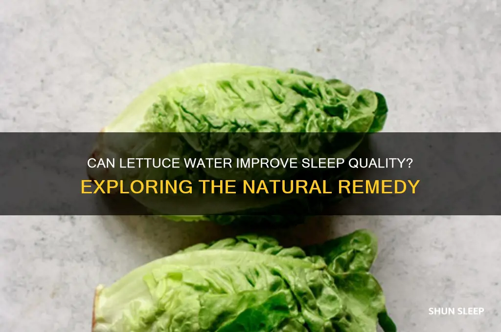does lettuce water help you sleep