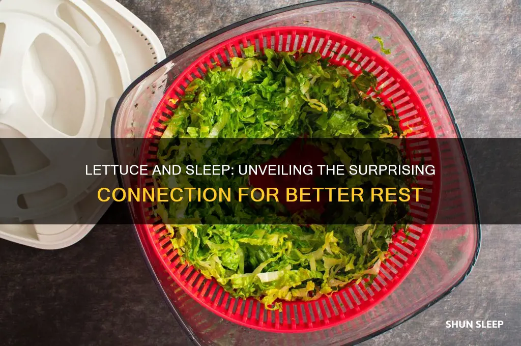 does lettus help you sleep