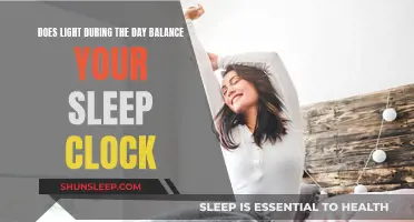 Daylight and Sleep: Balancing Your Circadian Rhythm