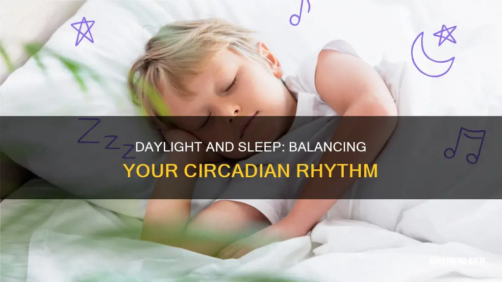 does light during the day balance your sleep clock