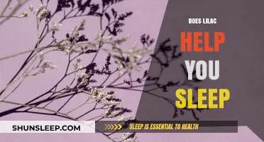 Lilac's Soothing Power: Can This Floral Scent Enhance Your Sleep?