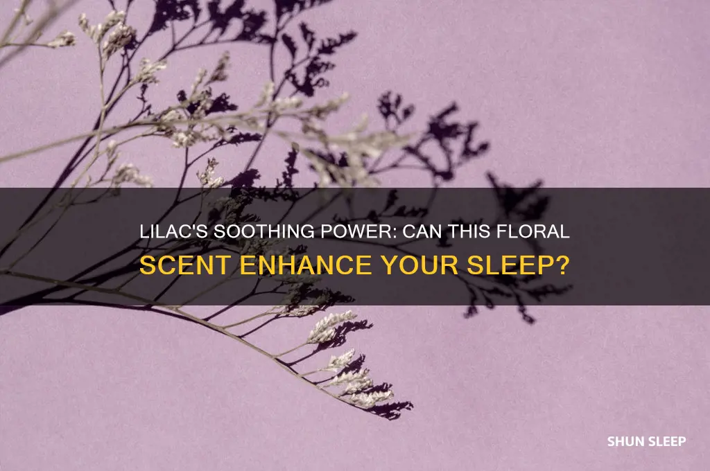 does lilac help you sleep
