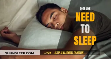 Link's Sleep: Is It Necessary or a Luxury?