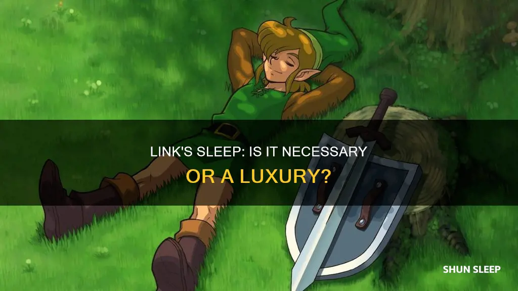 does link need to sleep