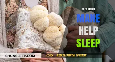 Lion's Mane for Sleep: Benefits, Research, and How It Works