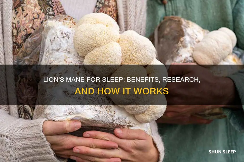 does lion
