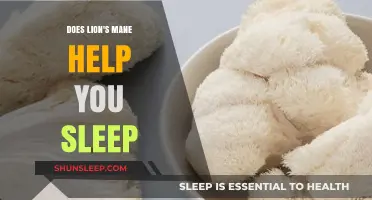Lion's Mane for Sleep: Benefits, Science, and Better Rest Tips