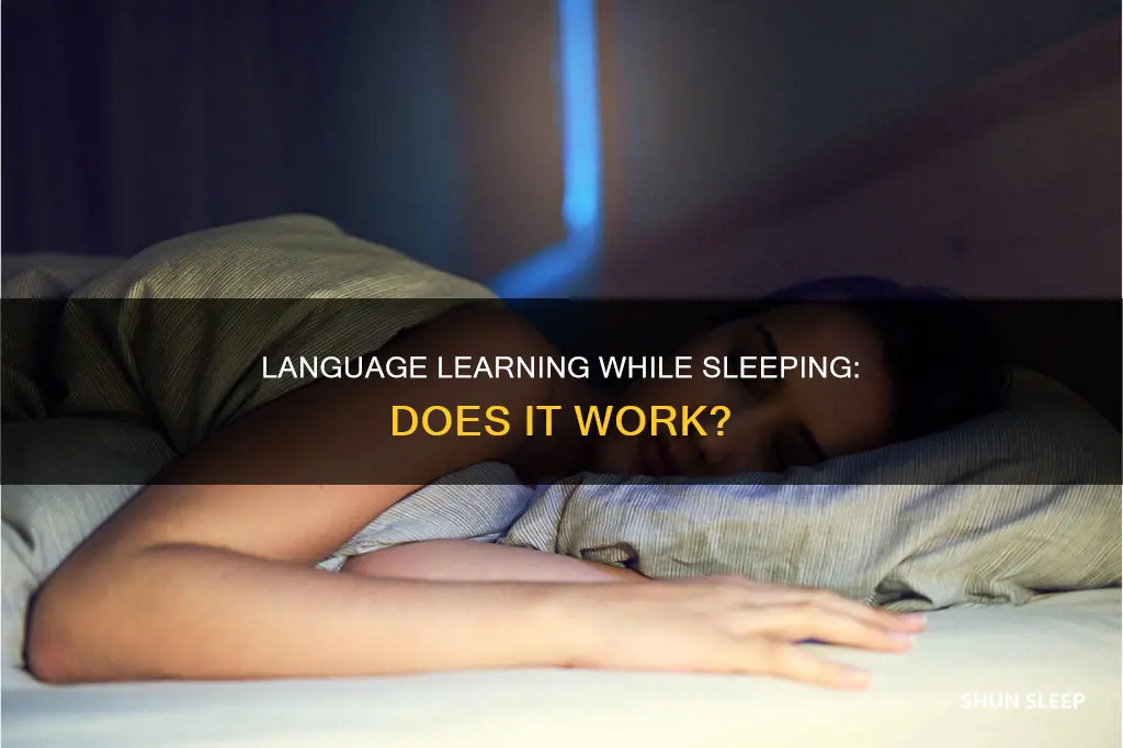does listening to a language while sleeping work