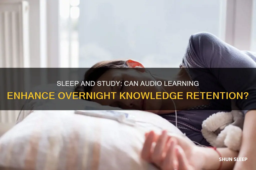 does listening to audio while sleeping help you learn