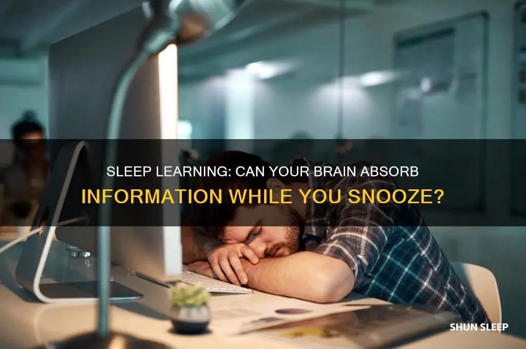 does listening to information in your sleep help