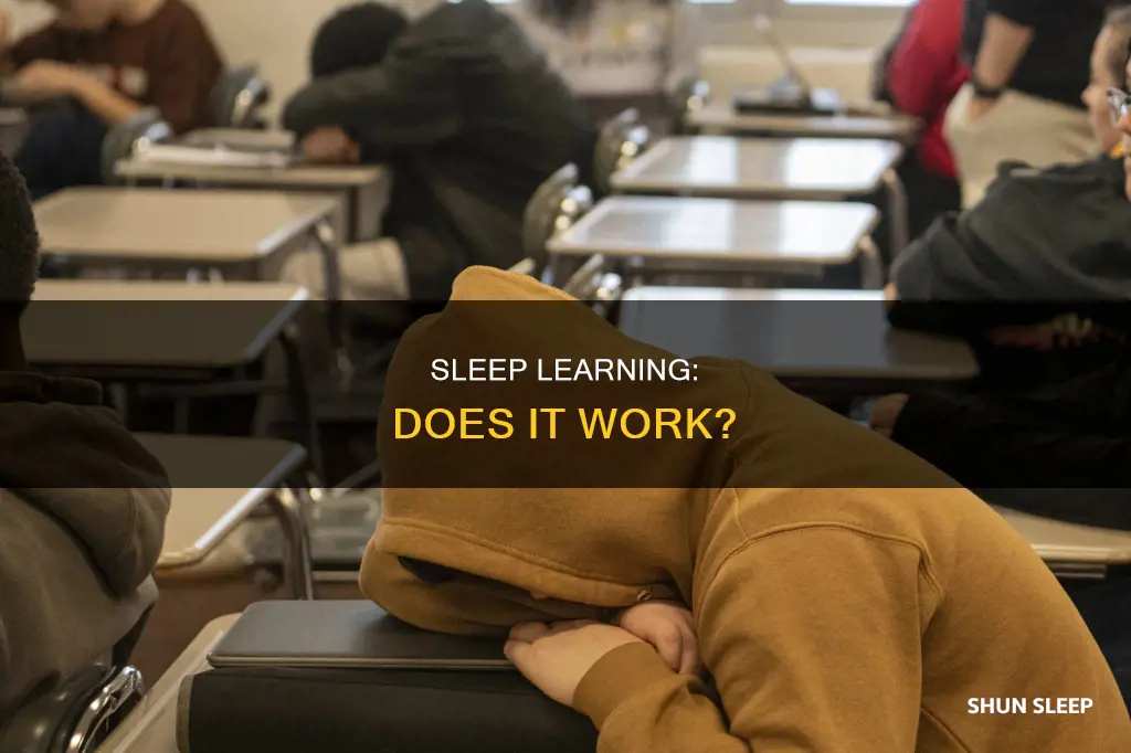 does listening to information while sleeping work