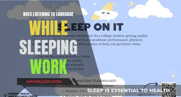 Language Learning While Sleeping: Does It Work?