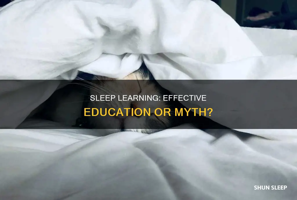 does listening to lessons while sleeping work