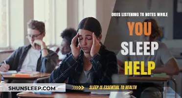Sleep and Study: Can Listening to Notes While Sleeping Boost Learning?