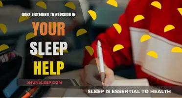 Sleep Learning: Can Listening to Revision While Asleep Boost Memory?