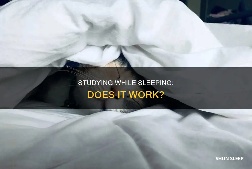 does listening to study while sleeping work