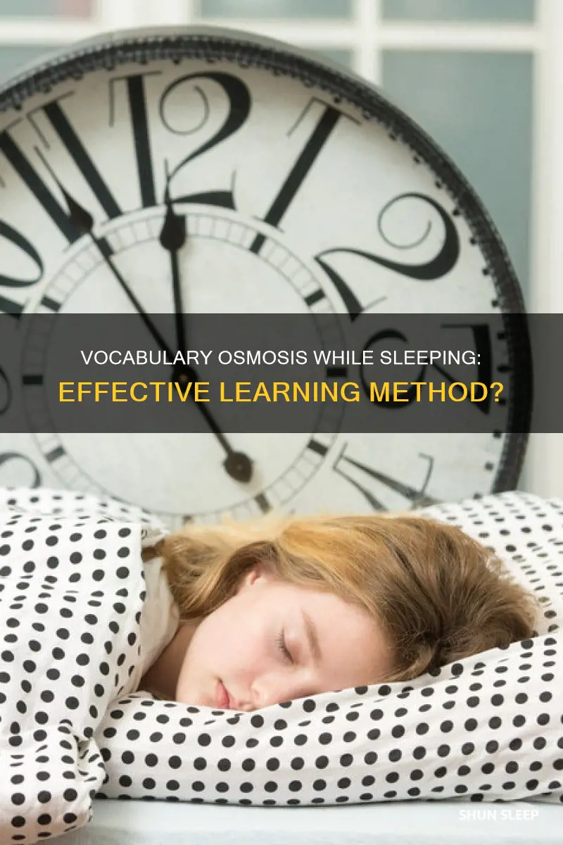 does listening to vocabulary while sleeping work