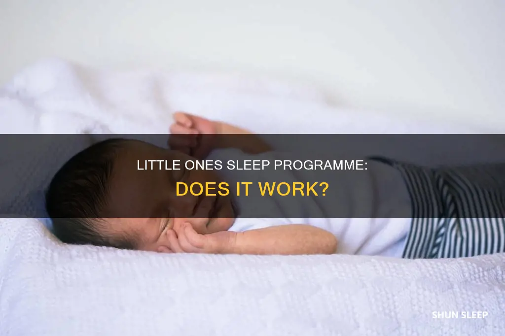 does little ones sleep programme work