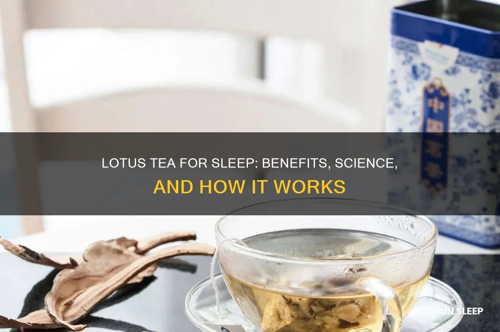 does lotus tea help you sleep