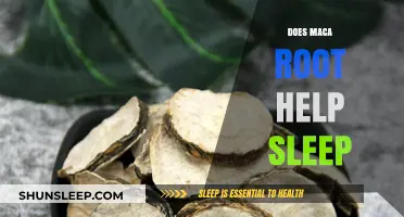 Maca Root and Sleep: Unlocking Better Rest Naturally