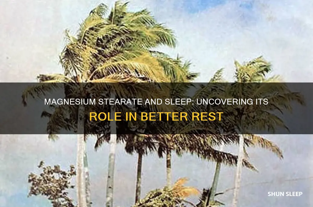 does magnesium stearate help with sleep