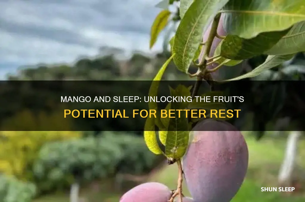 does mango help sleep