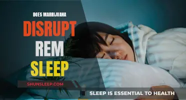 Marijuana and Sleep: The REM Sleep Disruption Mystery