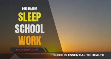 Masada Sleep School: Does It Work?