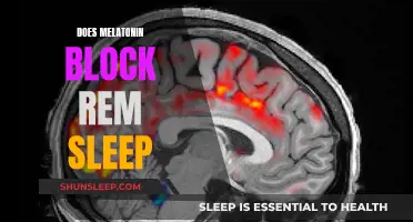 Melatonin and REM Sleep: What's the Connection?