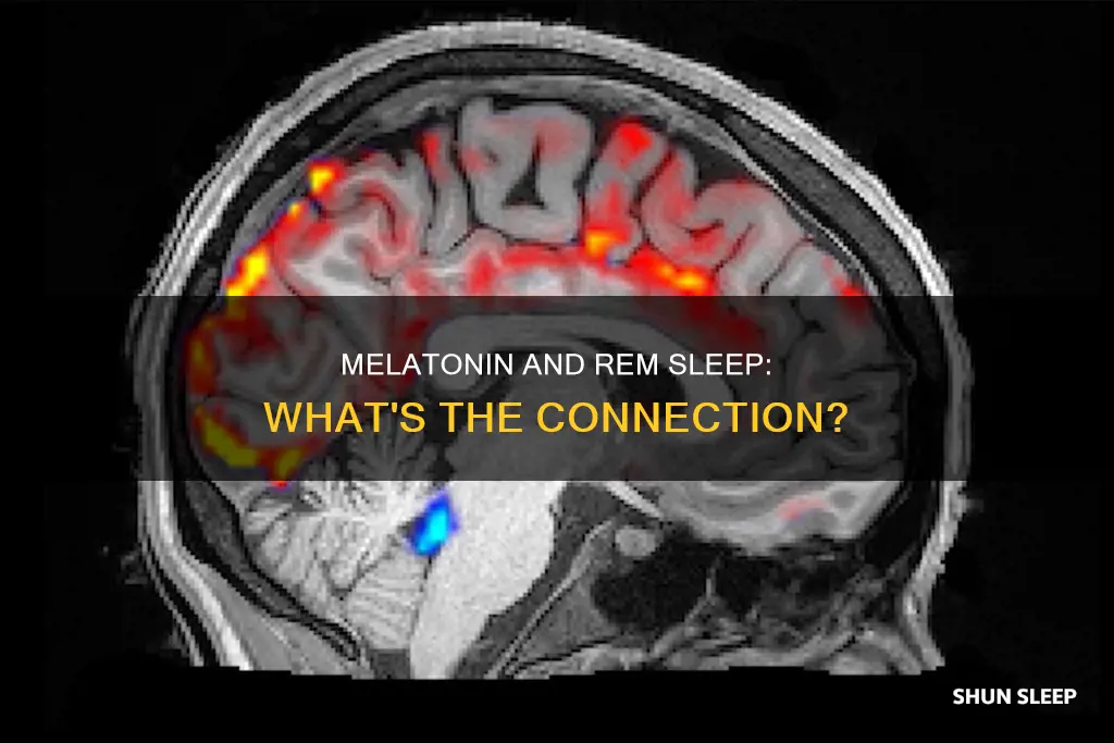 does melatonin block rem sleep