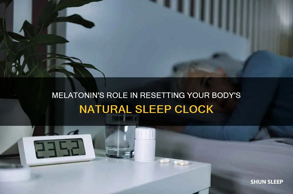 does melatonin help your bodies natural sleep clock reset