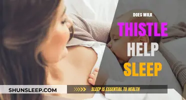 Milk Thistle and Sleep: Unlocking Better Rest Naturally