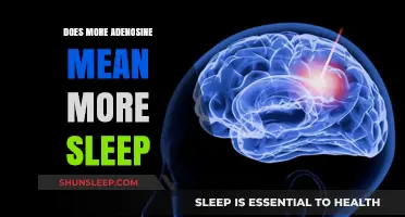 Adenosine and Sleep: The Connection Explained