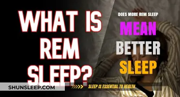 REM Sleep: Quality or Quantity?