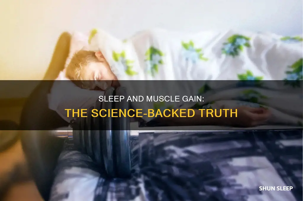 does more sleep mean more muscle