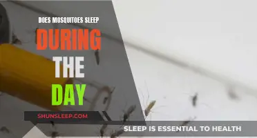 Mosquitoes' Sleep Patterns: Daytime Dozing or Active Hours?