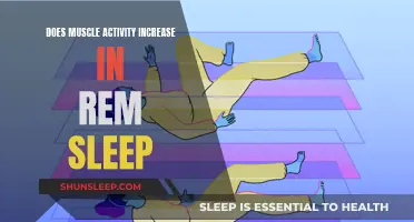 Muscle Activity in REM Sleep: What's Happening?