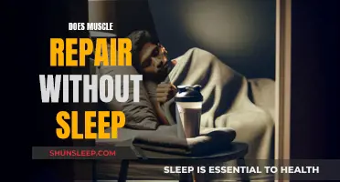 Muscle Repair: Sleep Deprivation's Impact