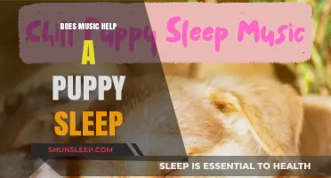 Can Music Soothe Your Puppy? Exploring Sleep-Aid Melodies for Dogs