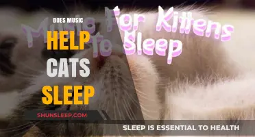 Melodic Purrs: How Music Enhances Cats' Sleep Quality